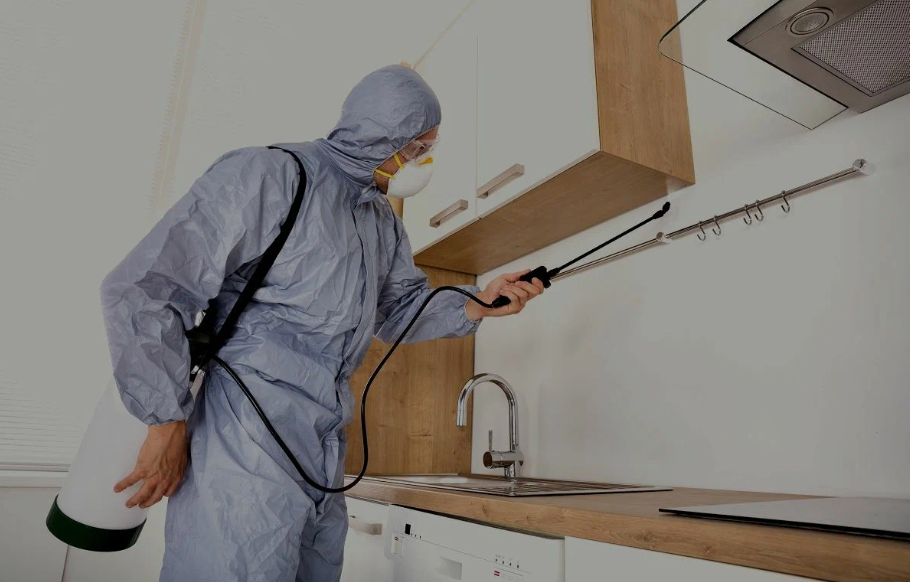 Watsonville pest managment